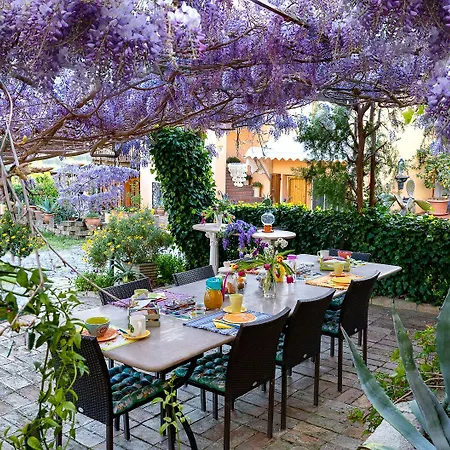 B&B Glicine-2